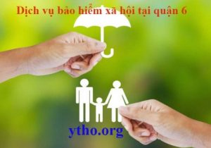 Dịch vụ bảo hiểm xã hội tại quận 6