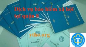 Dịch vụ bảo hiểm xã hội tại quận 8